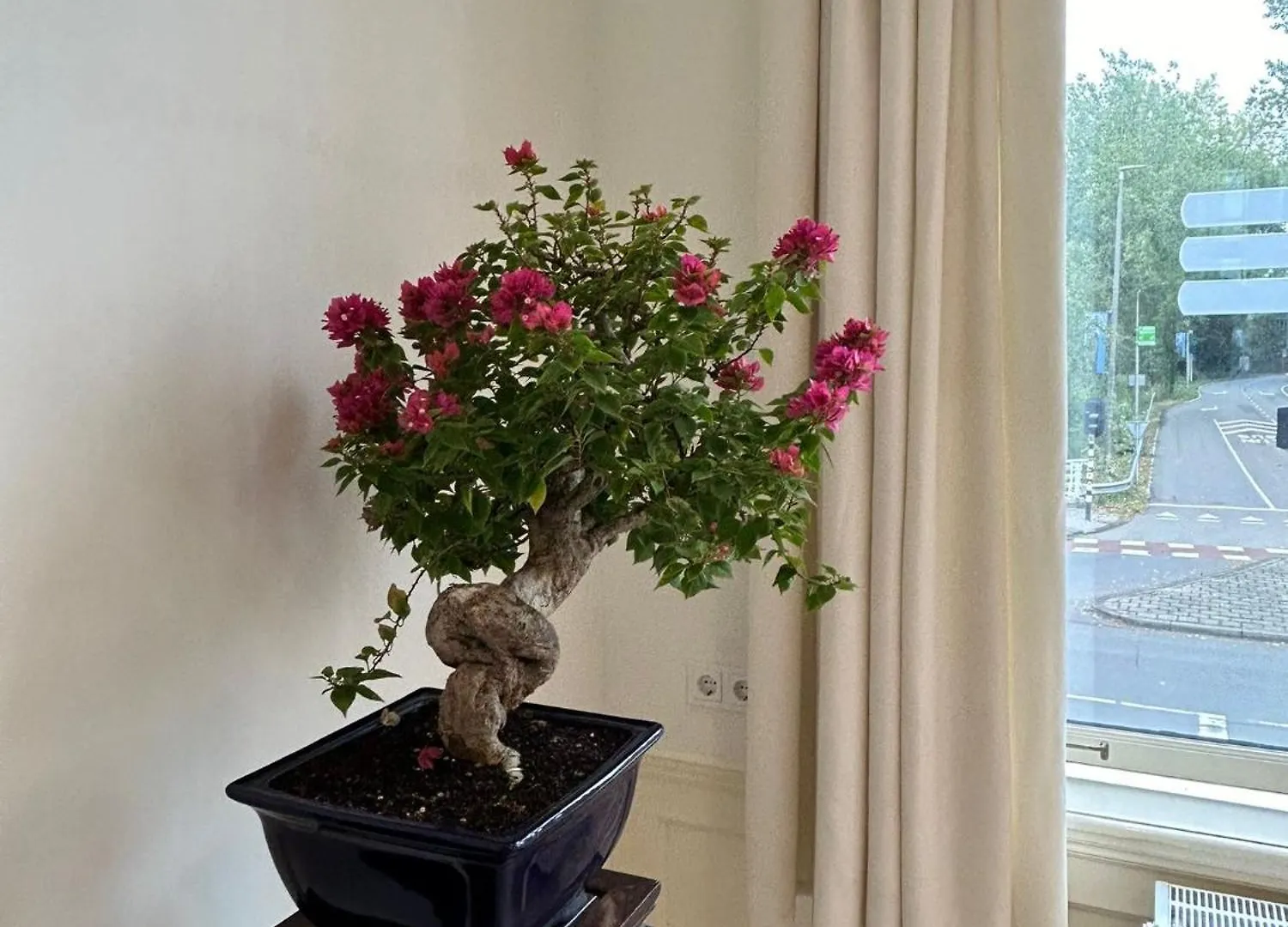 Beautiful House In Delft Appartement
